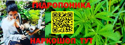 соль ск Кулебаки