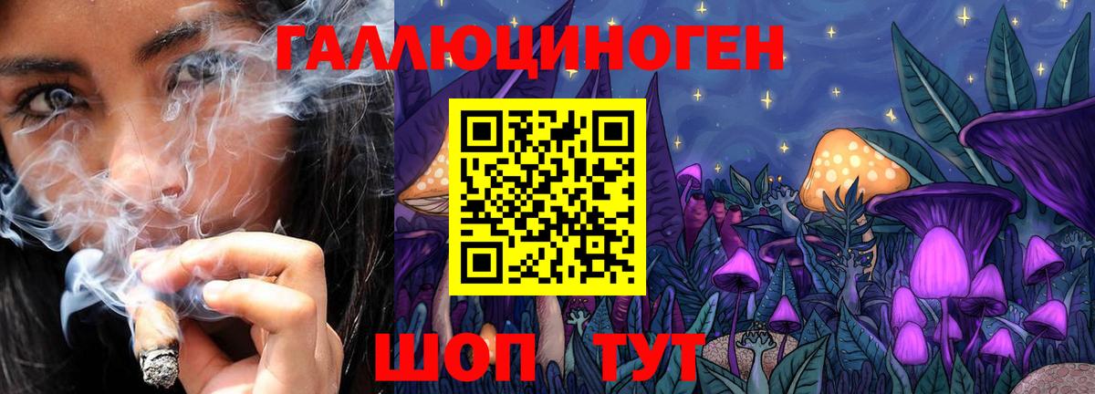 Галлюциногенные грибы MAGIC MUSHROOMS  Вход с VPN  Канаш  Галлюциногенные грибы Magic Shrooms 